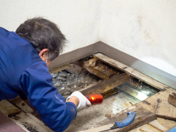 Best Crawl Space Mold Removal  in Culpeper, VA