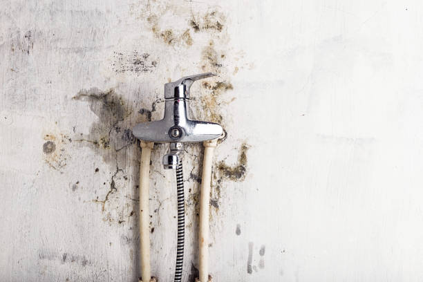 Mold Removal and Inspection in Culpeper, VA