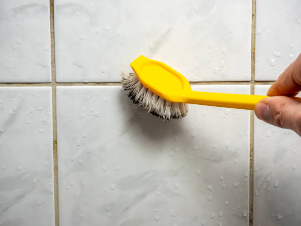 Best Residential Mold Removal  in Culpeper, VA