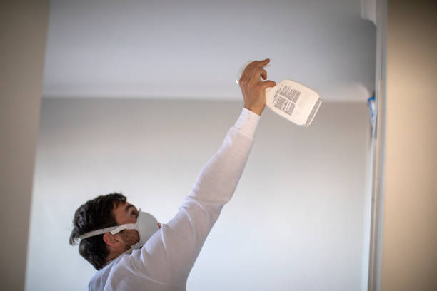 Best Mold Inspection  in Culpeper, VA
