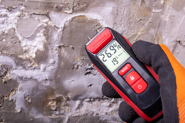 Best Affordable Mold Removal  in Culpeper, VA