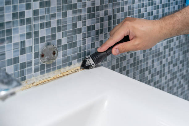 Best Residential Mold Removal  in Culpeper, VA